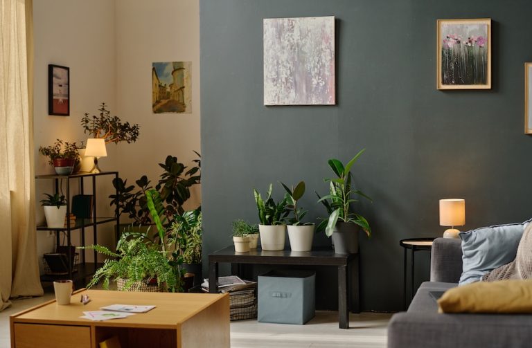 Transformer votre maison : astuces déco pour un intérieur accueillant et tendance